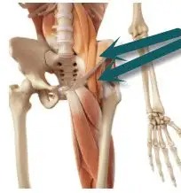 Tight Hip Flexors Can Cause Lower Back Pain, Knee Pain, Foot Pain